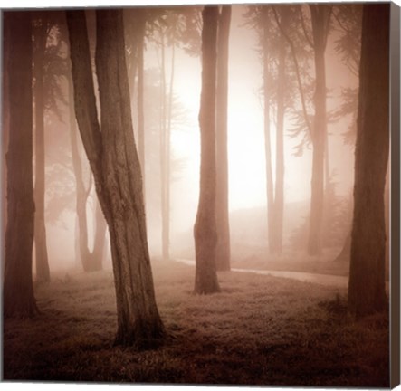 Framed Woods Study II Print