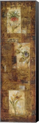 Framed Botanist's Journal II Print