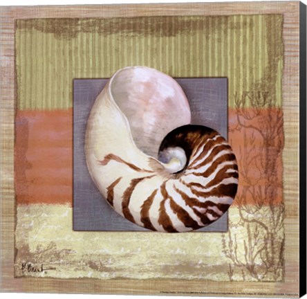 Framed Montego Nautilus Print
