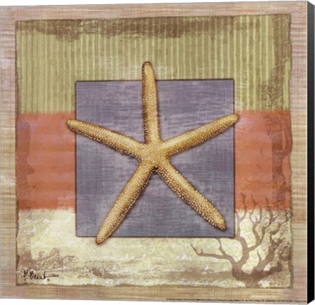 Framed Montego Starfish Print