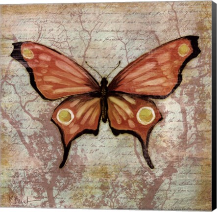Framed Vintage Butterflies I Print