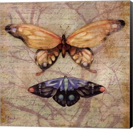 Framed Vintage Butterflies II Print