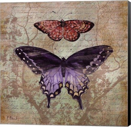 Framed Vintage Butterflies IV Print