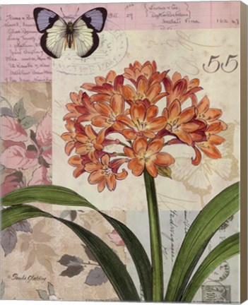 Framed Cilvia Floral Collage Print