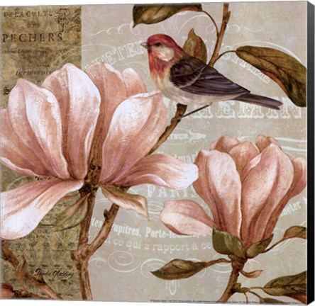 Framed Magnolia Collage I - Mini Print