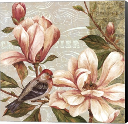 Framed Magnolia Collage II - mini Print
