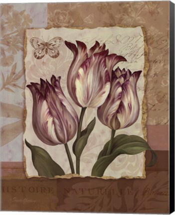 Framed Flower Trio - mini Print