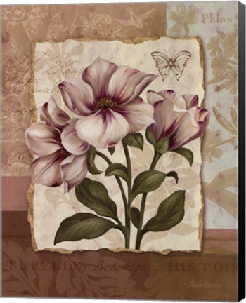 Framed Flower Trio II - mini Print