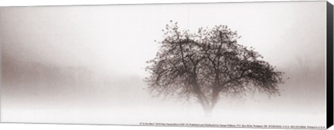 Framed In the Mist I Print