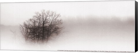 Framed In the Mist II Print