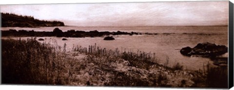 Framed Sepia Island Shores I - petite Print