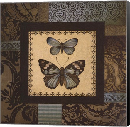 Framed Butterfly II - petite Print