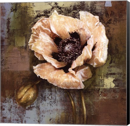 Framed Papaver I - mini Print
