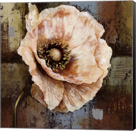 Framed Papaver II - mini Print