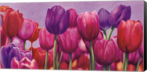 Framed Campo di tulipani Print