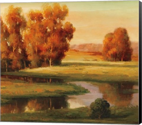 Framed Serene I Print