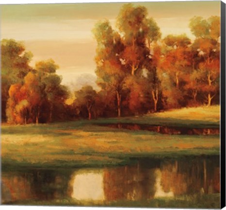 Framed Serene II Print