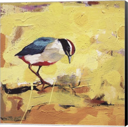 Framed Urban Dot Print