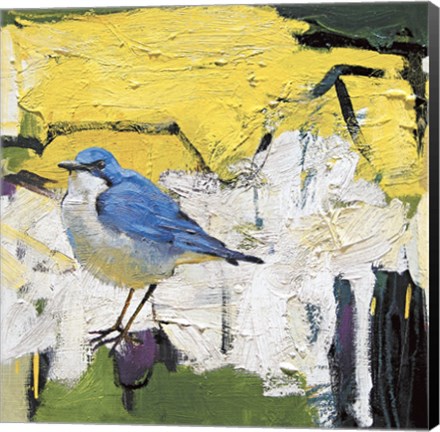 Framed Scalloped Shrug Print