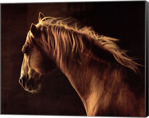 Framed Wild Heart Print