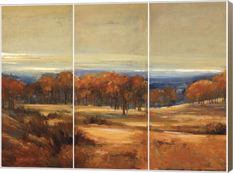 Framed Golden Horizon Triptych Print