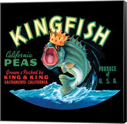 Framed Kingfish Print