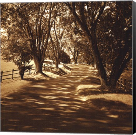Framed Ash Lawn II Print