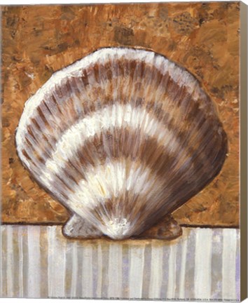 Framed Vintage Shell III - mini Print