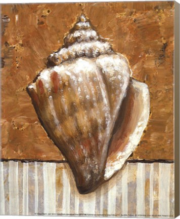 Framed Vintage Shell II - mini Print