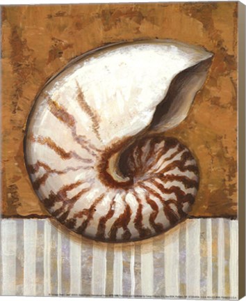 Framed Vintage Shell I - mini Print
