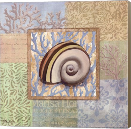 Framed Oceanic Shell Collage IV Print