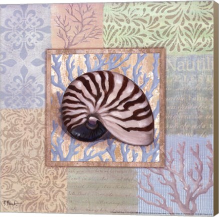 Framed Oceanic Shell Collage III Print