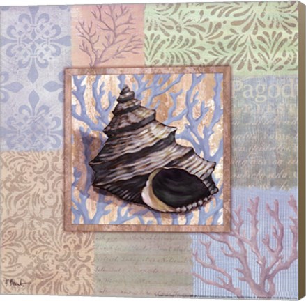 Framed Oceanic Shell Collage II Print