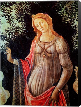 Framed Primavera, detail of Venus, c.1478 Print