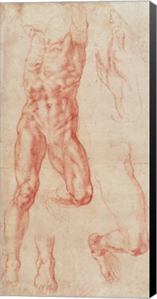 Framed W.13r Study of a male nude, stretching upwards Print