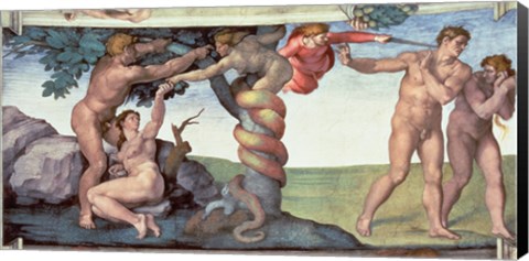 Framed Sistine Chapel Ceiling (1508-12): The Fall of Man, 1510 Print