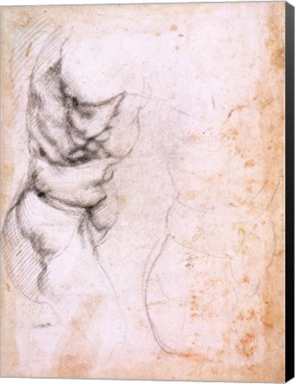 Framed Study of torso and buttock Print