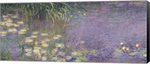 Framed Waterlilies: Morning, 1914-18 (left section) Print