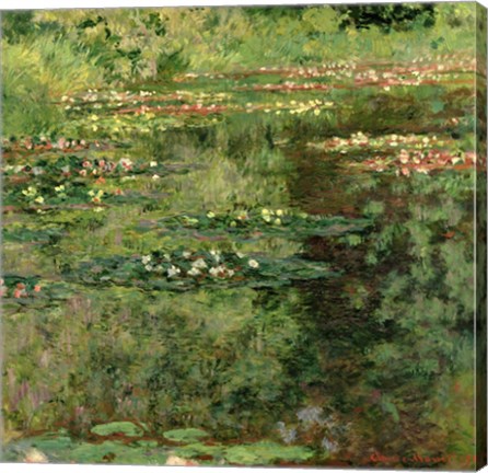 Framed Waterlily Pond, 1904 Print