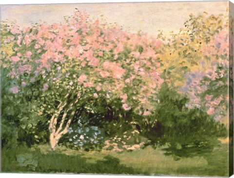 Framed Lilac in the Sun, 1873 Print