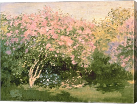 Framed Lilac in the Sun, 1873 Print