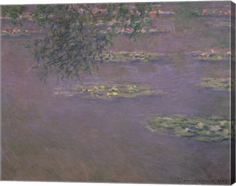 Framed Waterlilies, 1903 Print