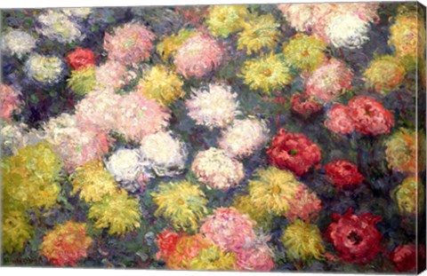 Framed Chrysanthemums, 1897 Print