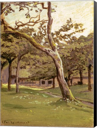 Framed Orchard Print