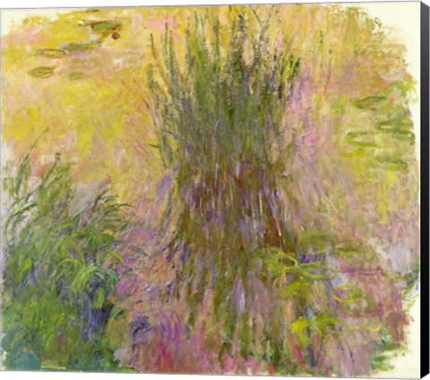 Framed Waterlilies (yellow) Print