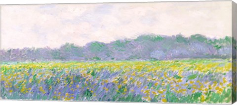 Framed Field of Yellow Irises at Giverny, 1887 Print