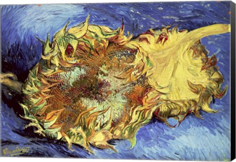 Framed Sunflowers, 1887 Print