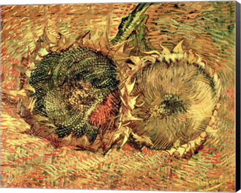 Framed Two Cut Sunflowers, 1887 Print