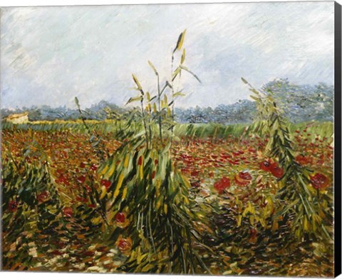 Framed Corn Fields and Poppies, 1888 Print