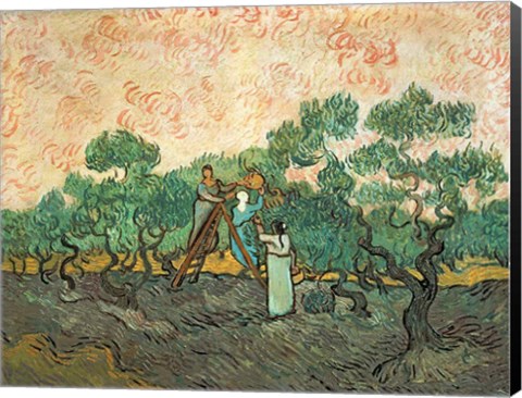 Framed Olive Pickers Print